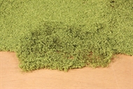 Blätterflor hellgrün, 14x28 cm
