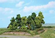 Laubwald, 18 Büsche und Bäume 1-11 cm