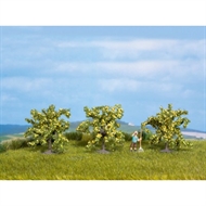 Zitronenbäume, 3 Stück, 4 cm hoch