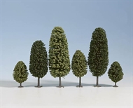 Laubbäume, 10 Stück, 6,5 - 11 cm hoch