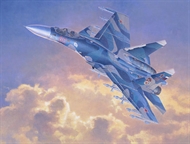 1/72 Su 33 Flanker D