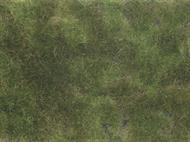 Bodendecker-Foliage olivgrün