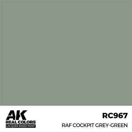 RAF Cockpit Grey-Green 17 ml.6