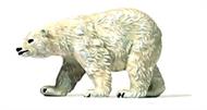 Eisbär
