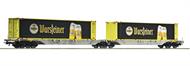 Doppeltragwagen + Warsteiner Container